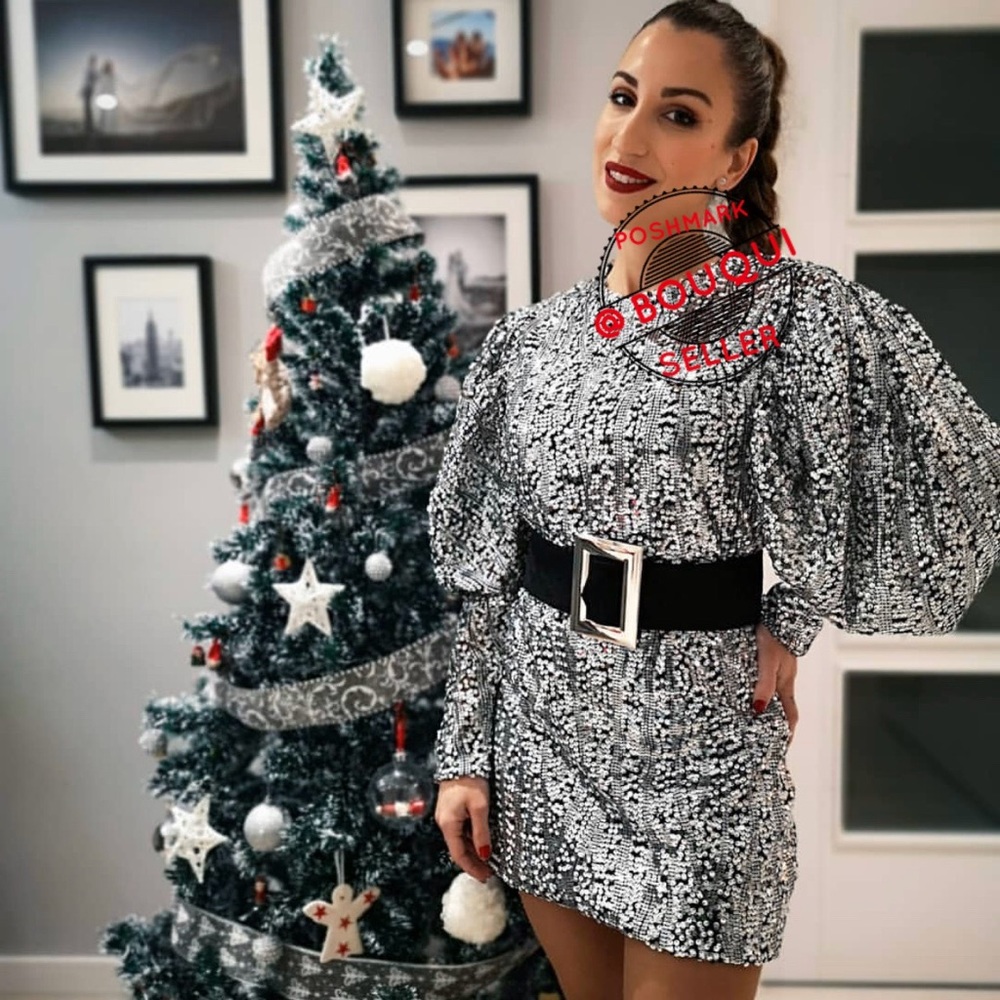 BLOGGERS FAVORITE ZARA SEQUINS DRESS WITH BELT - Picture 1 of 8